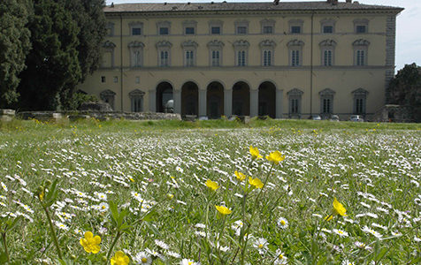 vitelli-santegidio